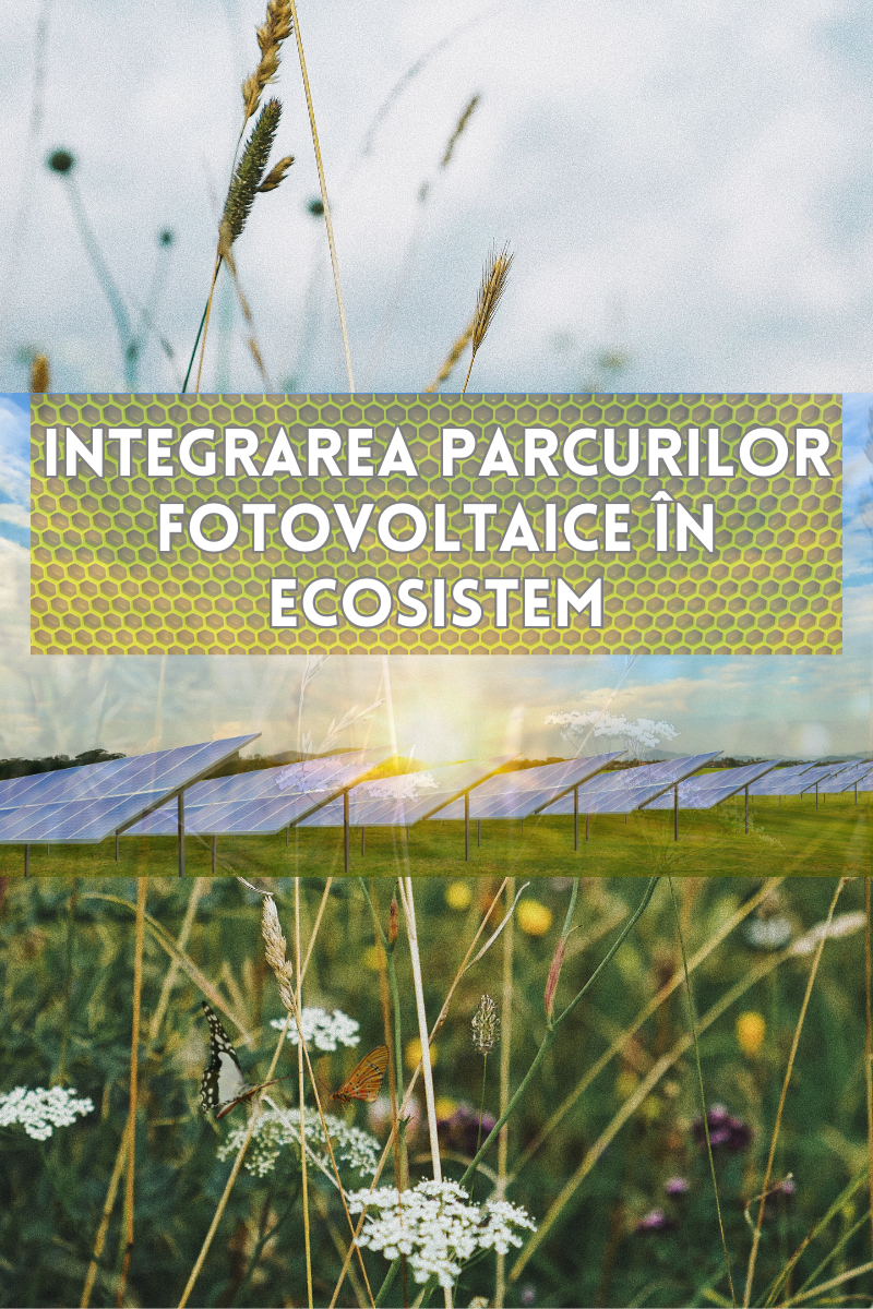 Managementul vegetației într-un parc fotovoltaic